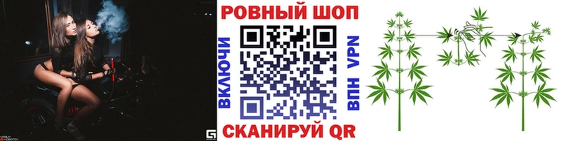 Виды наркоты Владимир Кокаин  Меф  ГАШ  АМФ  Каннабис 
