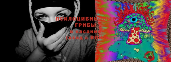 spice Волоколамск