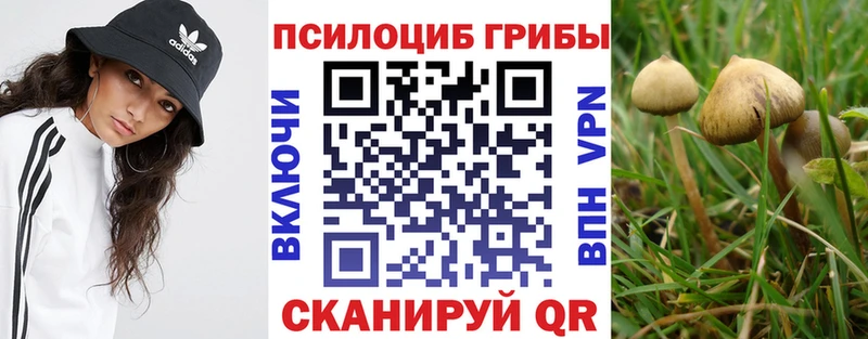Псилоцибиновые грибы прущие грибы  Владимир 